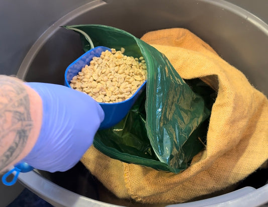 Green Coffee Beans: Unlocking the Flavor Secrets Hidden in the Process